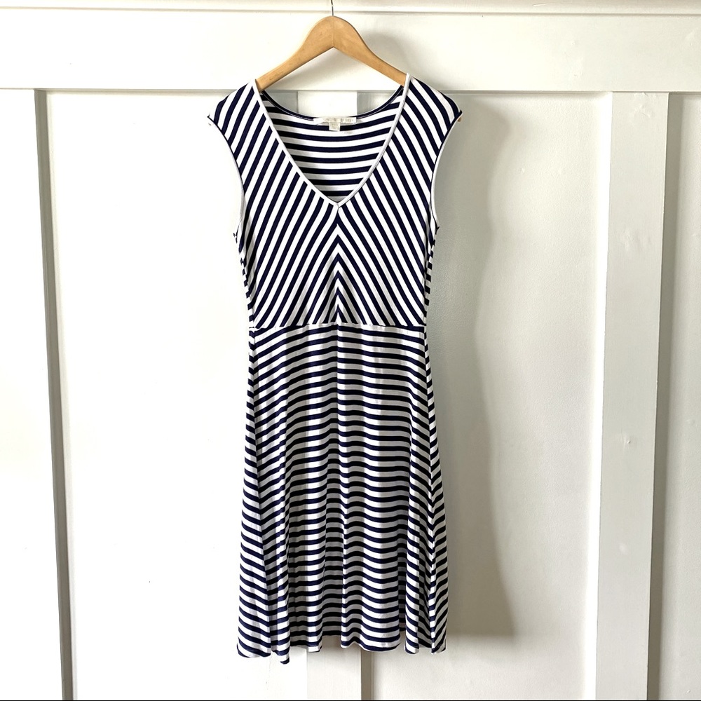 Boston Proper Navy Stripe Dress